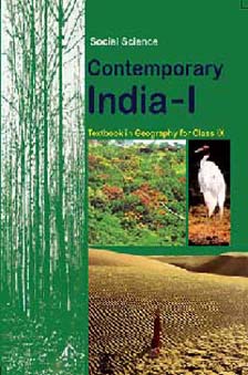 contemporary-india--i.jpg